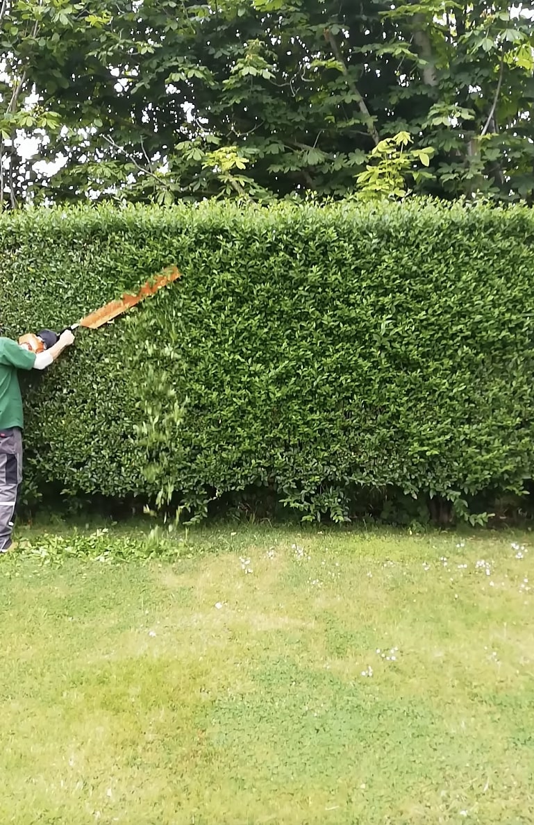 Professional hedge trimming service creating clean lines in South Gate, CA